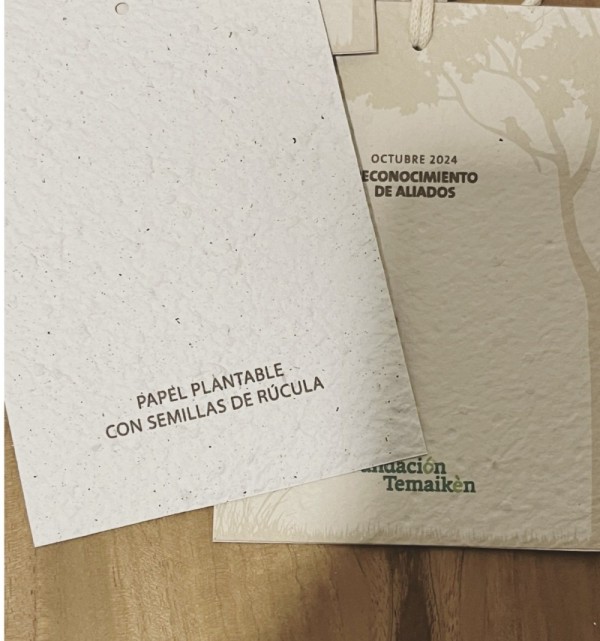 Credenciales de Papel plantable x 50 unid