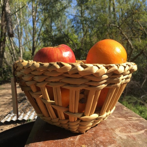 Frutera de junco