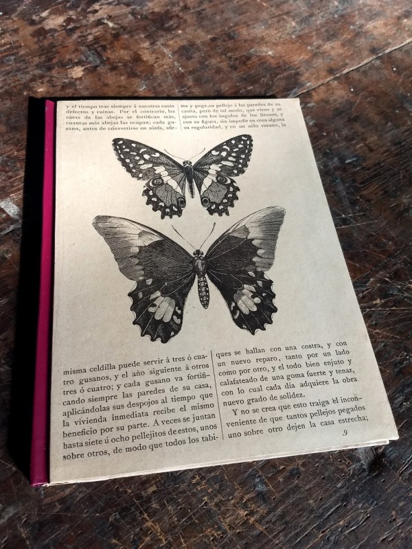 Cuaderno artesanal Nº3 Serie Mariposas