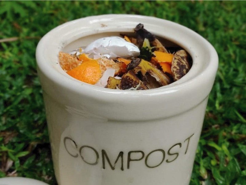 Tachito de compost