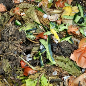 ¿Cómo hacer un compost en simples pasos?