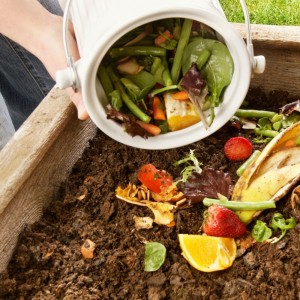¡Sumate al hábito de compostar!
