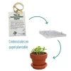 Credenciales de Papel plantable x 50 unid