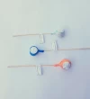 Lollibomb