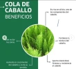 Crema restauradora crecimiento capilar