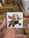 Calcos individuales 5cm.
