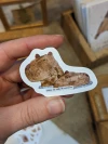 Calcos individuales 5cm.