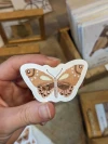 Calcos individuales 5cm.