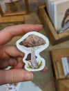 Calcos individuales 5cm.