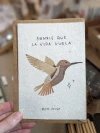 Postal + Sobre Kraft