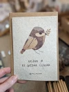 Postal + Sobre Kraft