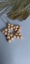 Estrellas navideña