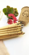 Maceta Bio + Lápiz Plantable ¡TODO PERSONALIZADO!