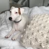 Almohada Pochoclo