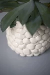 Maceta Nubes