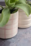 Maceta Cuadriculada Rosa Begot Cerámicas