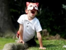 Animales Salvajes: Zorro