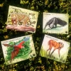 Kit animales para armar "Animales en extinción"
