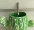 Mate cactus