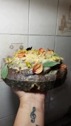 Budin Vegano