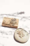 Resina pura natural: NAG CHAMPA