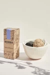 Bomba de descarga con carbón de coco: PURIFICACIÓN