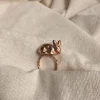 Anillo flora y fauna conejin