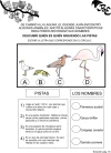 Cuadernillo de actividades digital