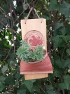 Maceta colgante Rosas