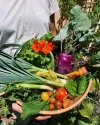 GIFT CARD CURSO ONLINE DE HUERTA Y COMPOST