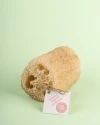 Esponja vegetal fraccionada