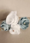 Flor Argentina