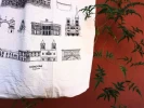 Tote Córdoba