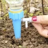 Estaca Y Pico Para Riego Automático De Plantas