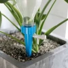 Estaca Y Pico Para Riego Automático De Plantas