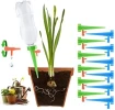 Estaca Y Pico Para Riego Automático De Plantas