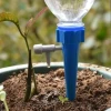 Estaca Y Pico Para Riego Automático De Plantas