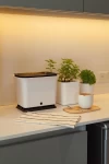 PRE COMPOSTERA DE DISEÑO PARA MESADA o CONTENEDOR DE RESIDUOS ORGANICOS. Ahora 3 cuotas s/interes.