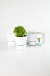 Maceta Autorregante Small. Ahora 3 cuotas s/interes.