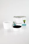 Maceta Autorregante Small. Ahora 3 cuotas s/interes.