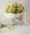 Bolsa SucuBAG  S