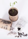 Kit de Siembra ÁRBOL NATIVO- Personalizado con TU LOGO -