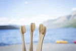CEPILLO DENTAL DE BAMBU