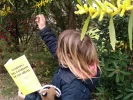 Cuaderno del Guardián de las Abejas (cuadernillo educativo)