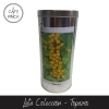 Lata Coleccionable - Diseño A Elección