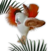 Colgante Bird