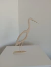 Animales de La Confluencia
