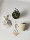 Kit  ECO Plantable -  10 unidades -