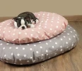 Cama