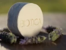 Shampoo sólido Lavandula